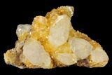 Sunshine Cactus Quartz Crystal Cluster - South Africa #115163-1